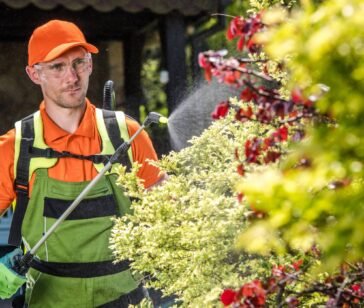 professional-caucasian-gardener-insecticide-garden-2025-03-18-15-01-15-utc-min