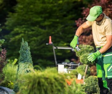 professional-gardener-trimming-garden-decorative-t-2025-03-15-00-55-17-utc-min